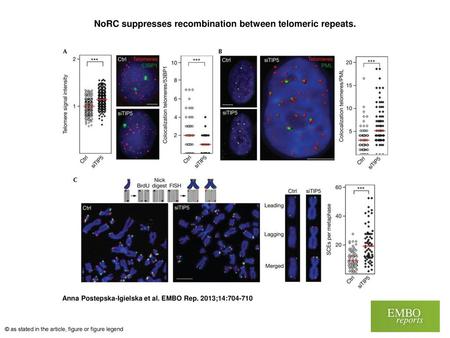 NoRC suppresses recombination between telomeric repeats.