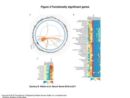 Figure 2 Functionally significant genes