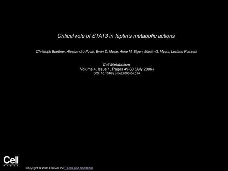 Critical role of STAT3 in leptin's metabolic actions