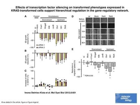 Effects of transcription factor silencing on transformed phenotypes expressed in KRAS‐transformed cells support hierarchical regulation in the gene‐regulatory.