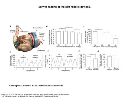 Ex vivo testing of the soft robotic devices.