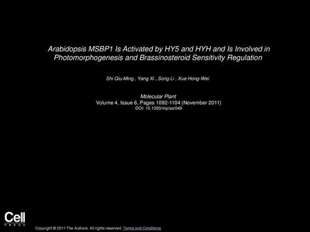 Arabidopsis MSBP1 Is Activated by HY5 and HYH and Is Involved in Photomorphogenesis and Brassinosteroid Sensitivity Regulation  Shi Qiu-Ming , Yang Xi.