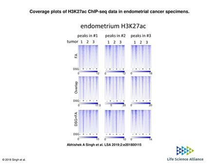 Coverage plots of H3K27ac ChIP-seq data in endometrial cancer specimens. Coverage plots of H3K27ac ChIP-seq data in endometrial cancer specimens. For the.