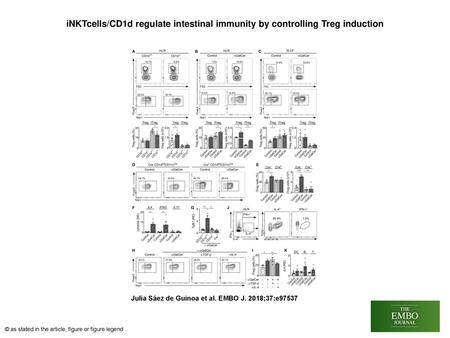 INKTcells/CD1d regulate intestinal immunity by controlling Treg induction iNKTcells/CD1d regulate intestinal immunity by controlling Treg induction ARegulatory.