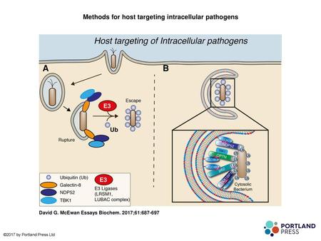 Methods for host targeting intracellular pathogens