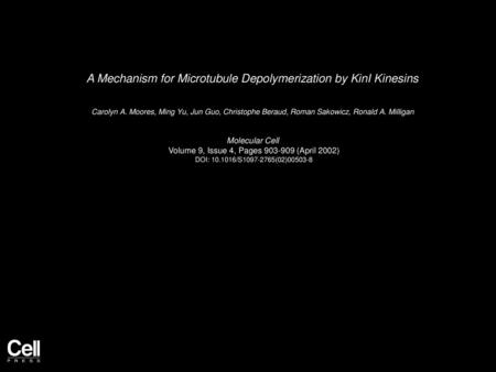 A Mechanism for Microtubule Depolymerization by KinI Kinesins