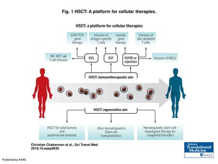 Fig. 1 HSCT: A platform for cellular therapies.