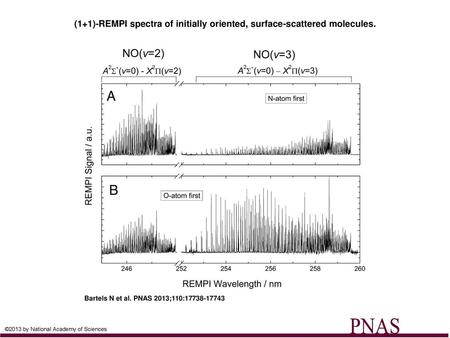 (1+1)-REMPI spectra of initially oriented, surface-scattered molecules