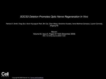 SOCS3 Deletion Promotes Optic Nerve Regeneration In Vivo