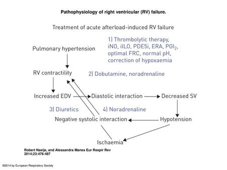 Pathophysiology of right ventricular (RV) failure.