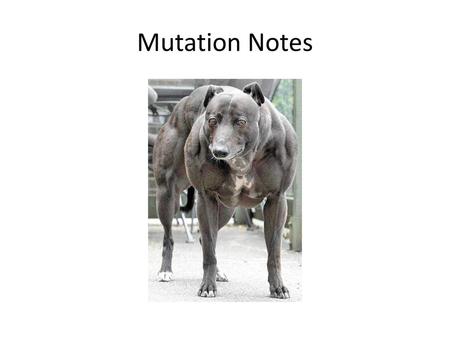 Mutation Notes.