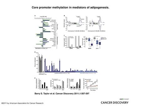 Core promoter methylation in mediators of adipogenesis.