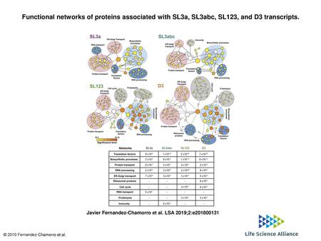 Functional networks of proteins associated with SL3a, SL3abc, SL123, and D3 transcripts. Functional networks of proteins associated with SL3a, SL3abc,