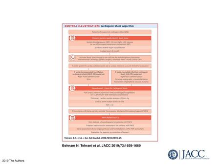 Behnam N. Tehrani et al. JACC 2019;73: