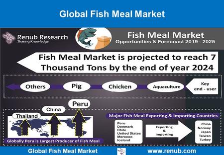 Global Fish Meal Market   Global Fish Meal Market.