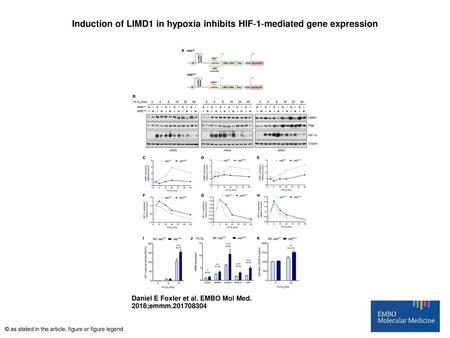 Induction of LIMD1 in hypoxia inhibits HIF‐1‐mediated gene expression