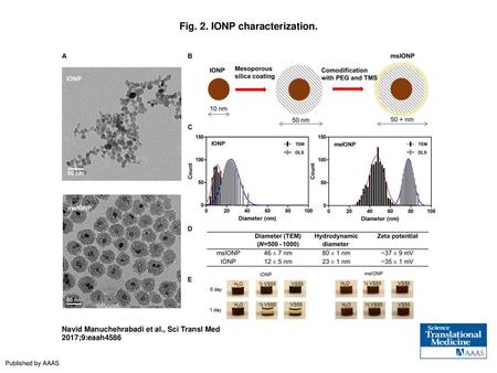 Fig. 2. IONP characterization.