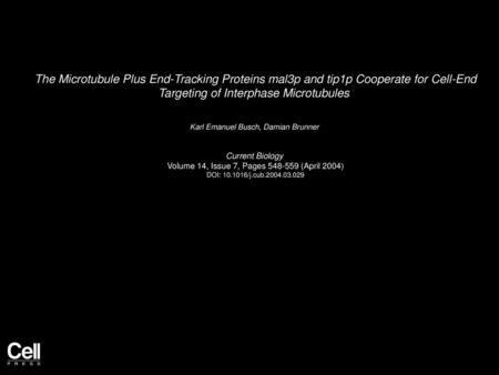 The Microtubule Plus End-Tracking Proteins mal3p and tip1p Cooperate for Cell-End Targeting of Interphase Microtubules  Karl Emanuel Busch, Damian Brunner 