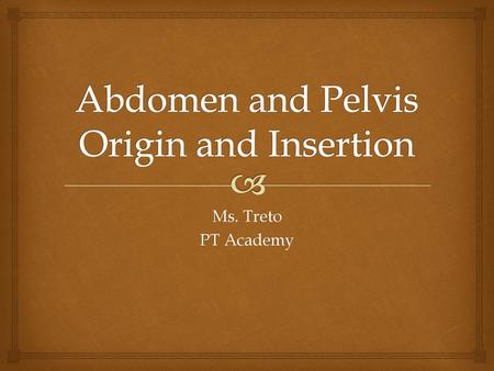 Abdomen and Pelvis Origin and Insertion