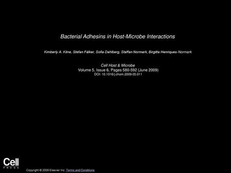 Bacterial Adhesins in Host-Microbe Interactions