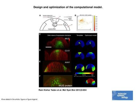 Design and optimization of the computational model.