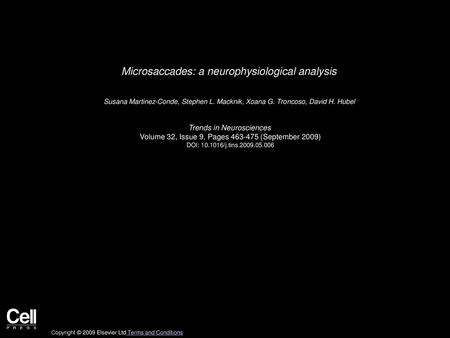 Microsaccades: a neurophysiological analysis