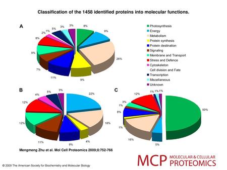 Classification of the 1458 identified proteins into molecular functions. Classification of the 1458 identified proteins into molecular functions. The pie.