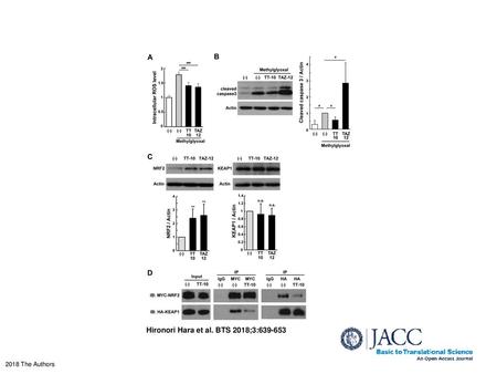 Hironori Hara et al. BTS 2018;3: