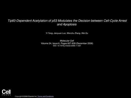 Yi Tang, Jianyuan Luo, Wenzhu Zhang, Wei Gu  Molecular Cell 