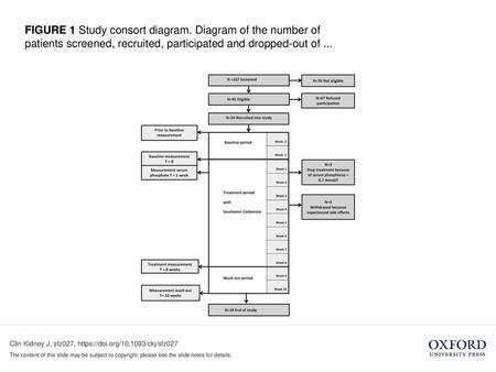 FIGURE 1 Study consort diagram