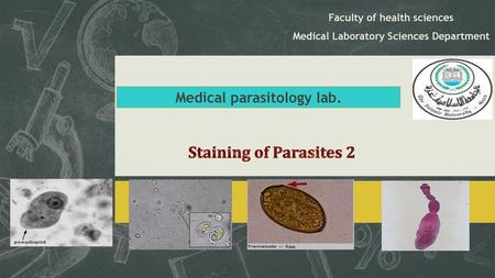 Staining of Parasites 2 Medical parasitology lab. Subtitle