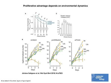 Proliferative advantage depends on environmental dynamics