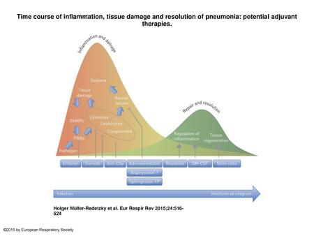 Time course of inflammation, tissue damage and resolution of pneumonia: potential adjuvant therapies. Time course of inflammation, tissue damage and resolution.