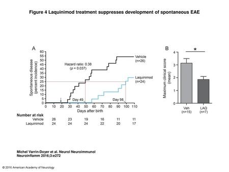 Figure 4 Laquinimod treatment suppresses development of spontaneous EAE Laquinimod treatment suppresses development of spontaneous EAE (A) 2D2 × Th mice.