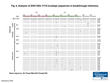 Fig. 6. Analysis of SHIV-325c V1V2 envelope sequences in breakthrough infections. Analysis of SHIV-325c V1V2 envelope sequences in breakthrough infections.