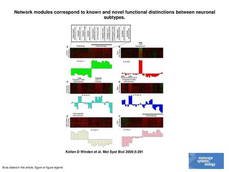 Network modules correspond to known and novel functional distinctions between neuronal subtypes. Network modules correspond to known and novel functional.