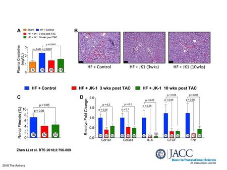 Renal Fibrosis and Plasma Creatinine Levels at 18 Weeks Post TAC (A) Plasma creatinine levels. (B) Representative images (original magnification ×20) of.