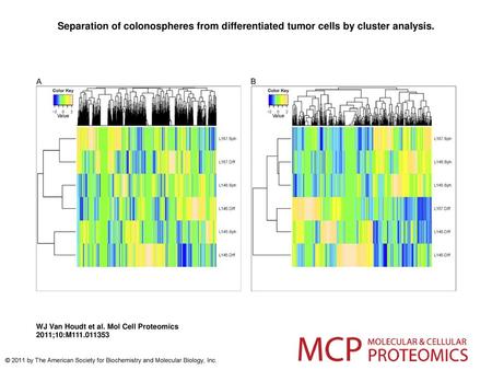 Separation of colonospheres from differentiated tumor cells by cluster analysis. Separation of colonospheres from differentiated tumor cells by cluster.