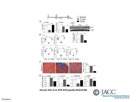 Jian-jun Wen et al. BTS 2016;j.jacbts