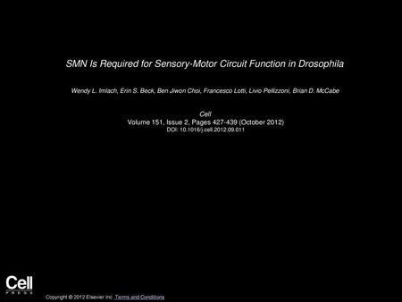 SMN Is Required for Sensory-Motor Circuit Function in Drosophila