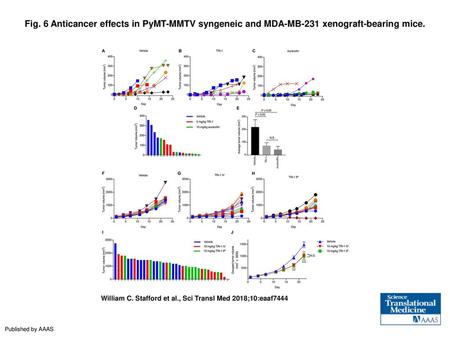 Fig. 6 Anticancer effects in PyMT-MMTV syngeneic and MDA-MB-231 xenograft-bearing mice. Anticancer effects in PyMT-MMTV syngeneic and MDA-MB-231 xenograft-bearing.