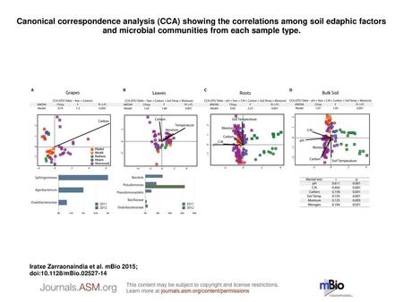 Canonical correspondence analysis (CCA) showing the correlations among soil edaphic factors and microbial communities from each sample type. Canonical.