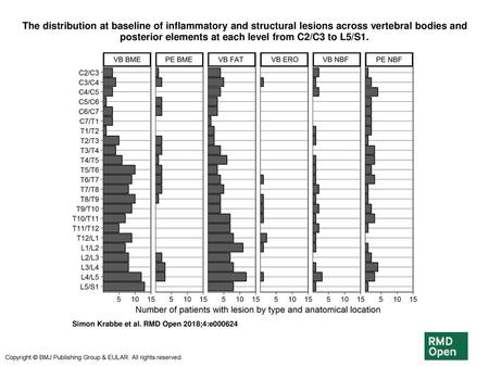 The distribution at baseline of inflammatory and structural lesions across vertebral bodies and posterior elements at each level from C2/C3 to L5/S1. The.