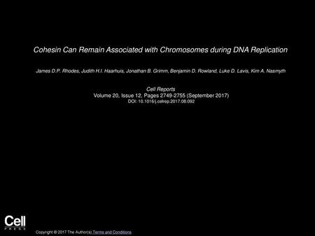 Cohesin Can Remain Associated with Chromosomes during DNA Replication