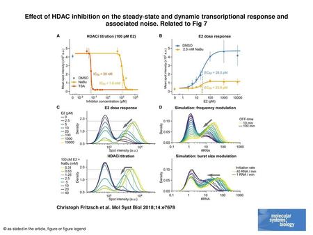 Effect of HDAC inhibition on the steady‐state and dynamic transcriptional response and associated noise. Related to Fig 7 Effect of HDAC inhibition on.