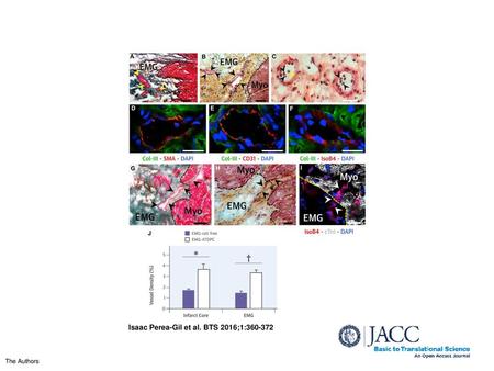 Isaac Perea-Gil et al. BTS 2016;1: