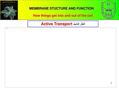 MEMBRANE STUCTURE AND FUNCTION How things get into and out of the cell