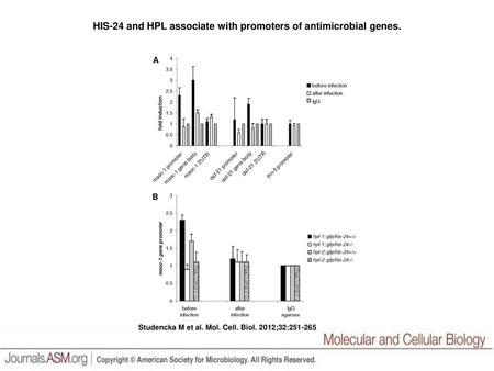 HIS-24 and HPL associate with promoters of antimicrobial genes.