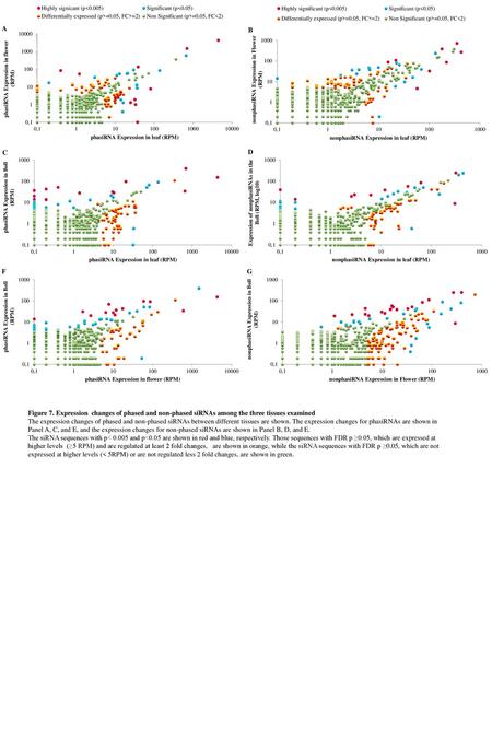 Figure 7. Expression changes of phased and non-phased siRNAs among the three tissues examined The expression changes of phased and non-phased siRNAs between.