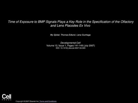 Time of Exposure to BMP Signals Plays a Key Role in the Specification of the Olfactory and Lens Placodes Ex Vivo  My Sjödal, Thomas Edlund, Lena Gunhaga 